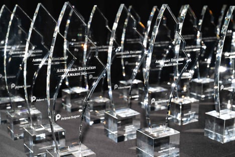 53925706291_766c060b42_o-2